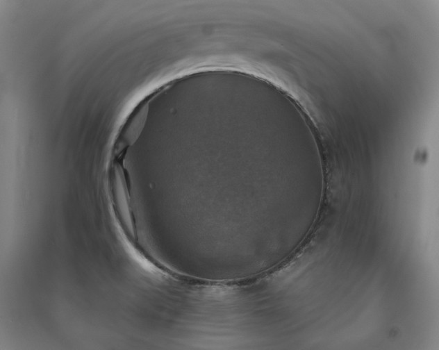 X0000091351519200708171420