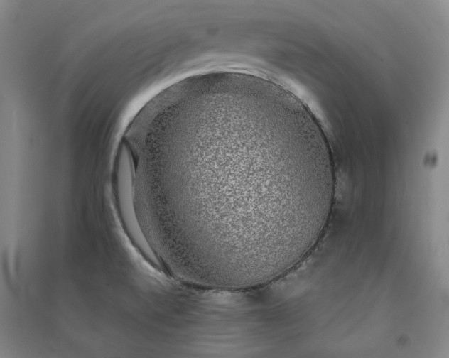 X0000091351520200708171420