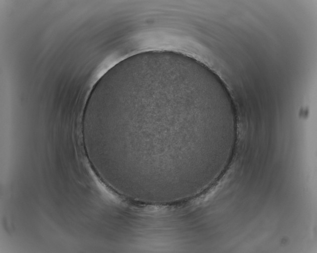 X0000091351521200708171420