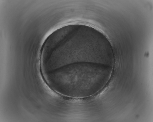 X0000091351522200708171420