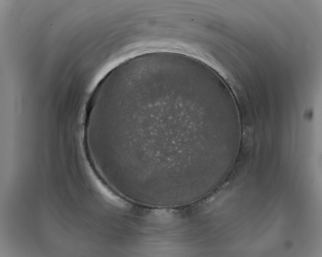 X0000091351523200708171420
