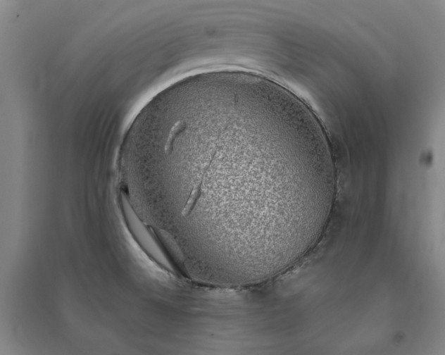 X0000091351524200708171420