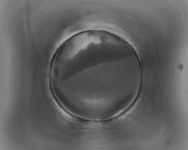 X0000091351525200708171420