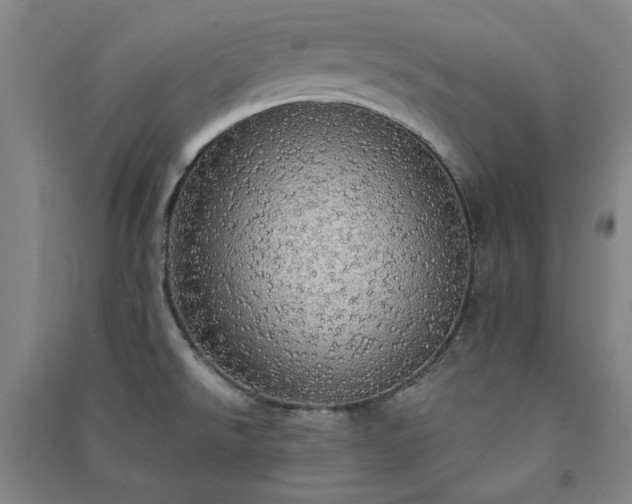 X0000091351526200708171420