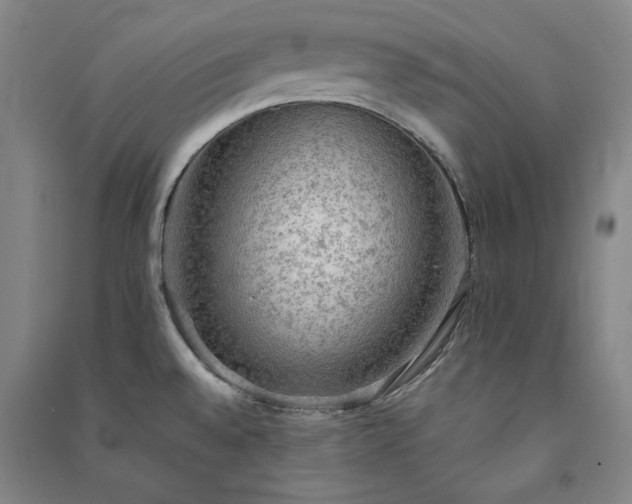 X0000091351528200708171420