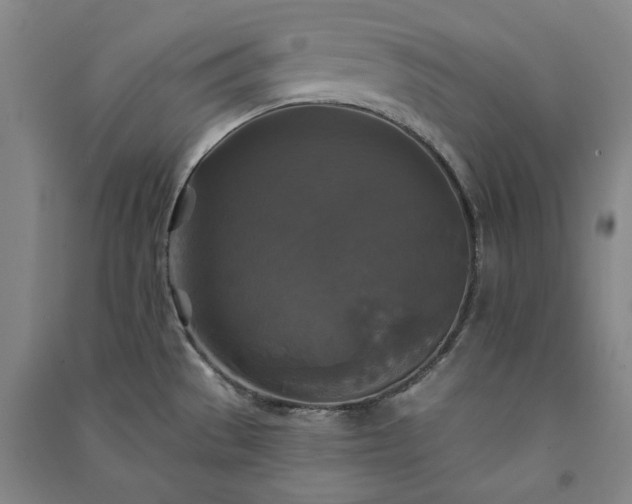 X0000091351529200708171421
