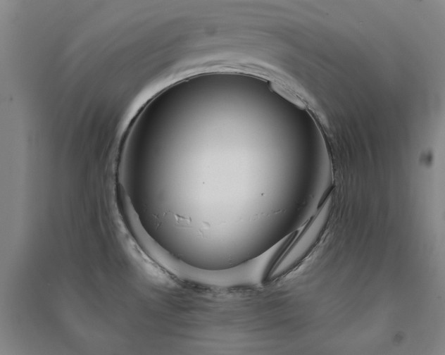 X0000091351530200708171421