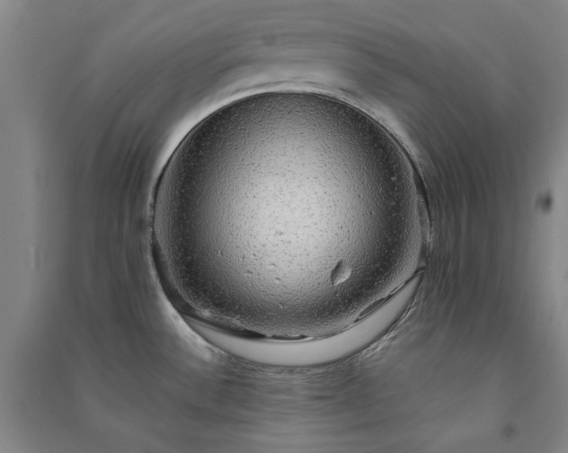 X0000091351532200708171421