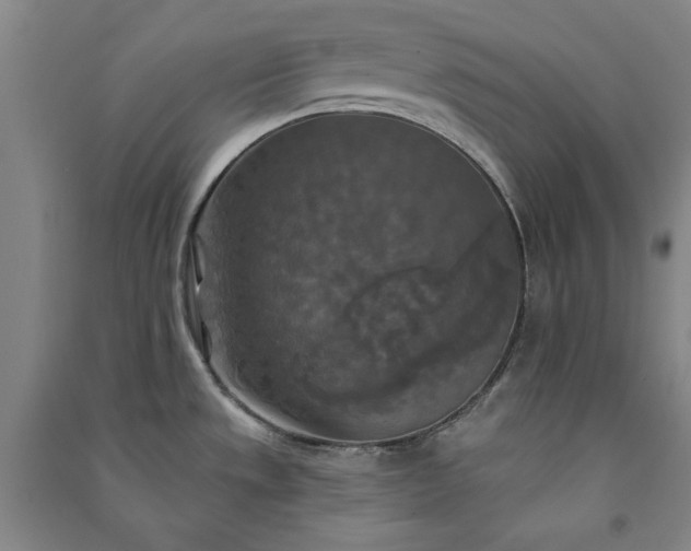 X0000091351533200708171421