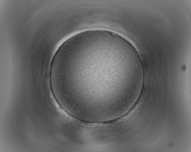 X0000091351534200708171421