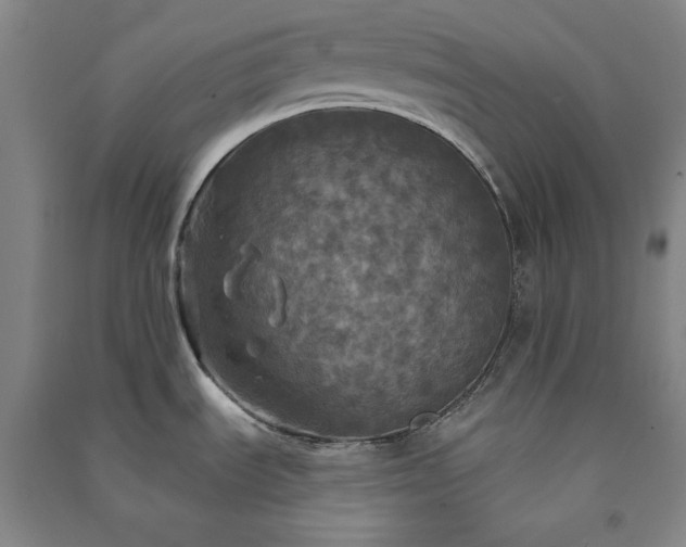 X0000091351535200708171421