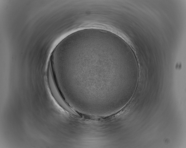 X0000091351536200708171421