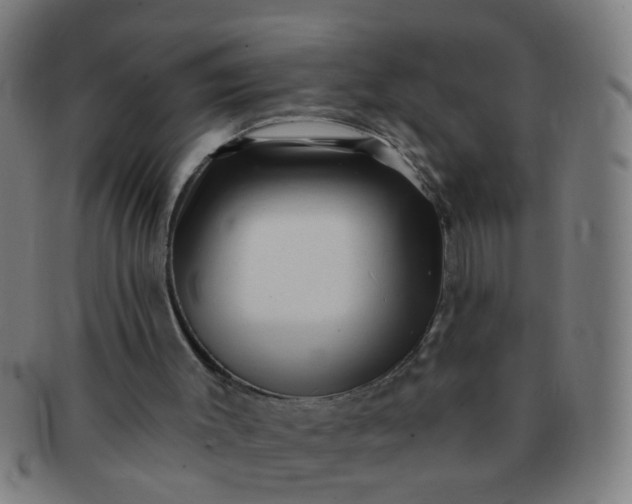 X0000091350003200708241258