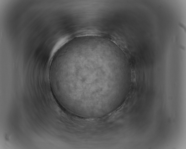 X0000091350004200708241258