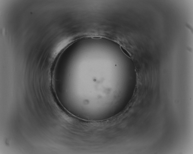 X0000091350005200708241258