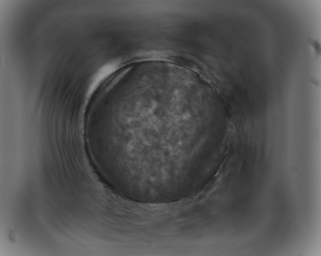 X0000091350006200708241258