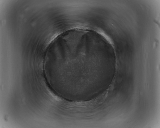 X0000091350009200708241258