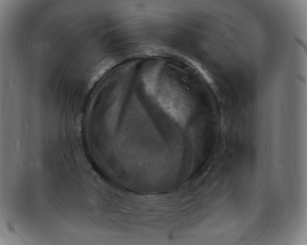 X0000091350010200708241258