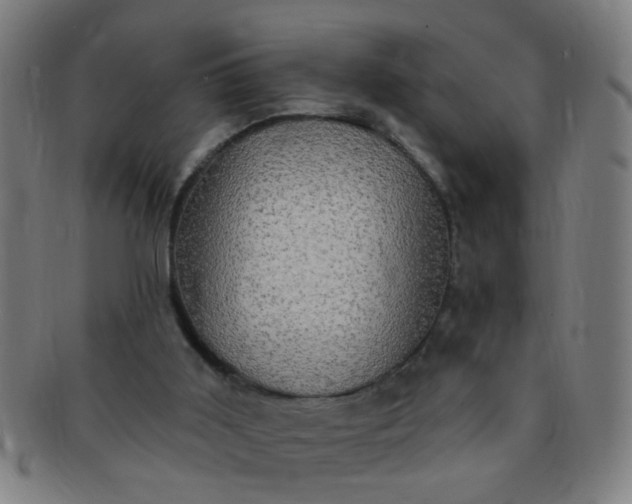 X0000091350011200708241258