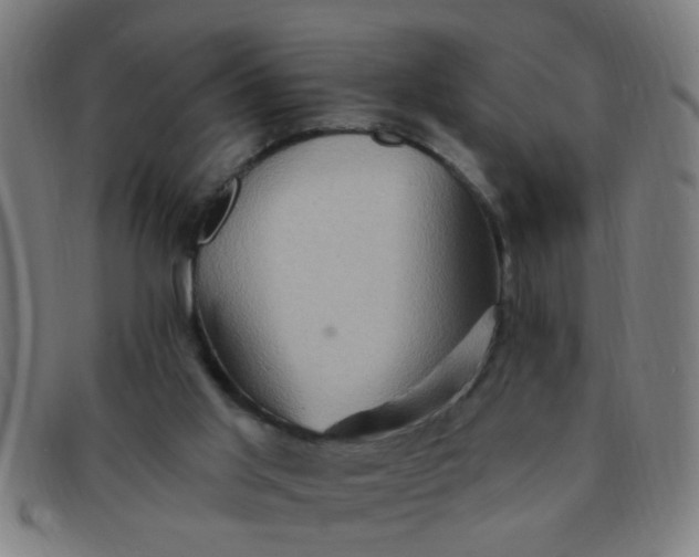 X0000091350013200708241258