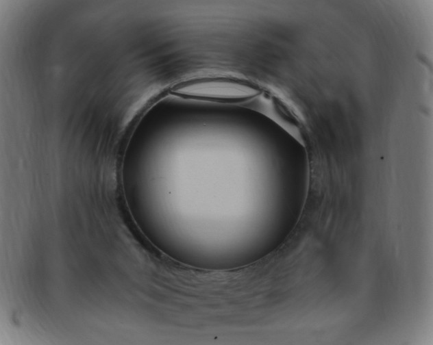 X0000091350015200708241258