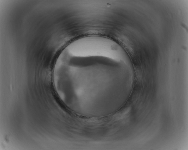 X0000091350016200708241258