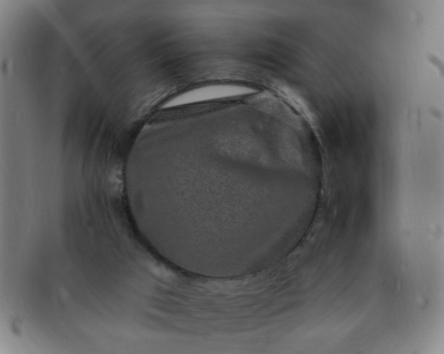 X0000091350017200708241258