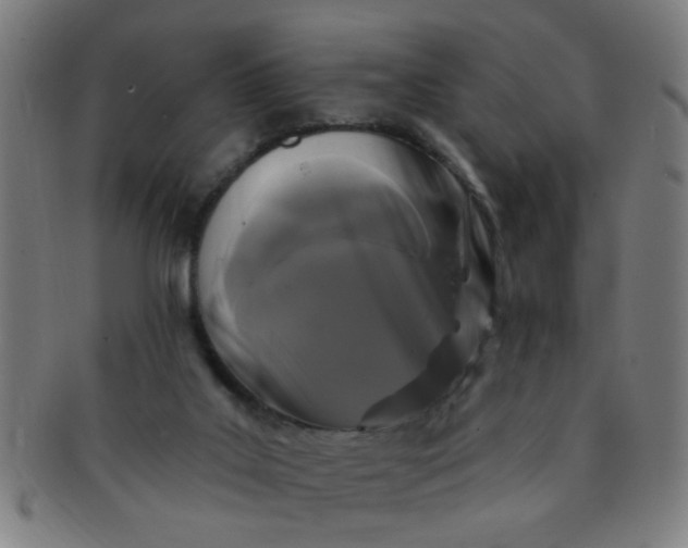 X0000091350019200708241258