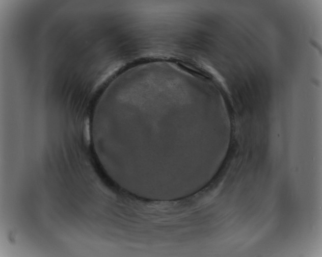 X0000091350020200708241258
