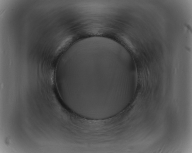 X0000091350023200708241258