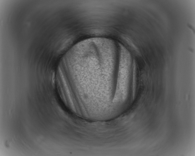 X0000091350024200708241258