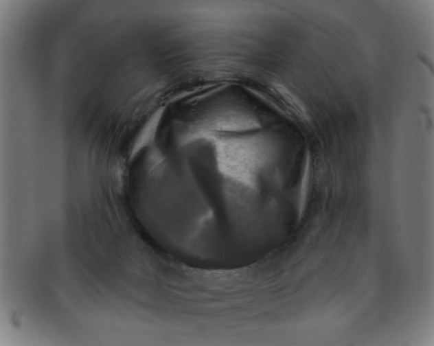 X0000091350026200708241258