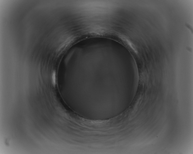 X0000091350027200708241258