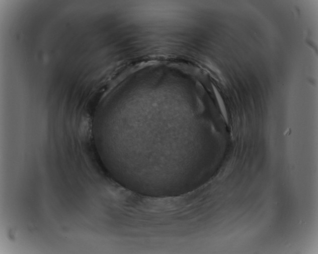 X0000091350029200708241258