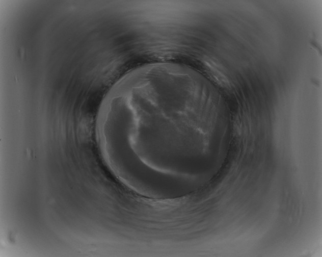 X0000091350030200708241258