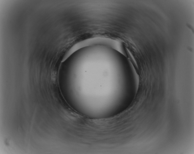 X0000091350033200708241258