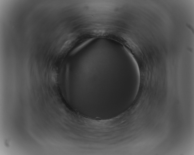 X0000091350035200708241258