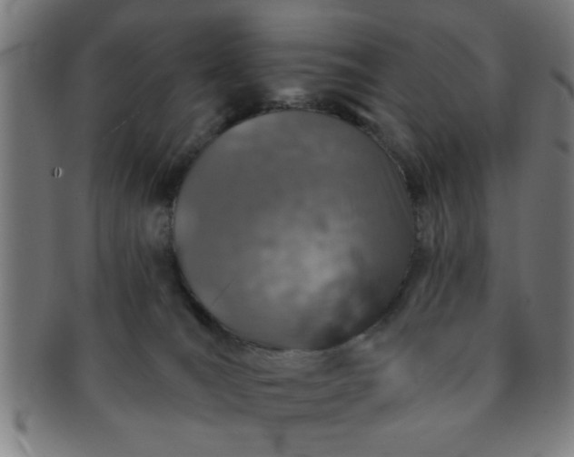 X0000091350036200708241258