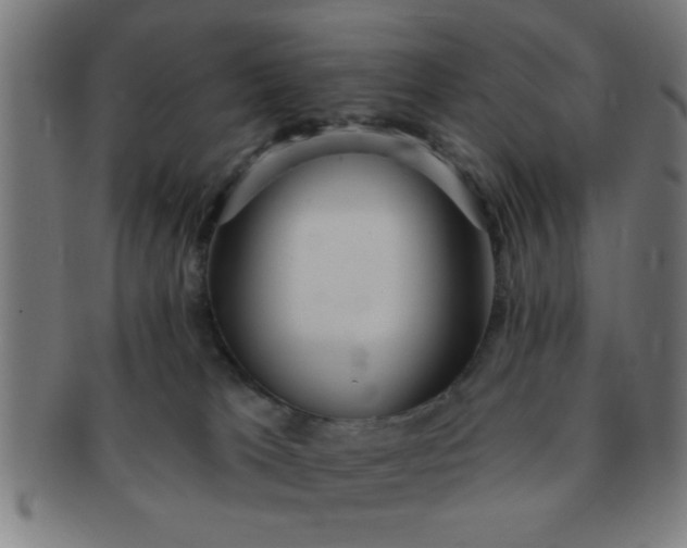X0000091350037200708241257