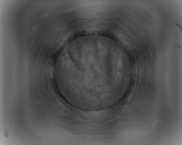 X0000091350038200708241257