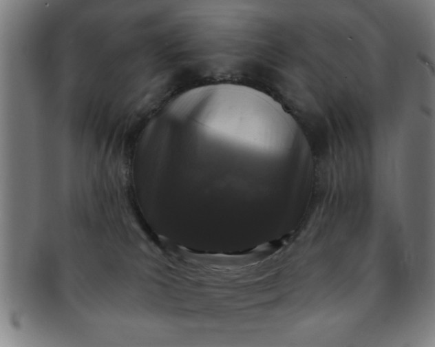 X0000091350039200708241257