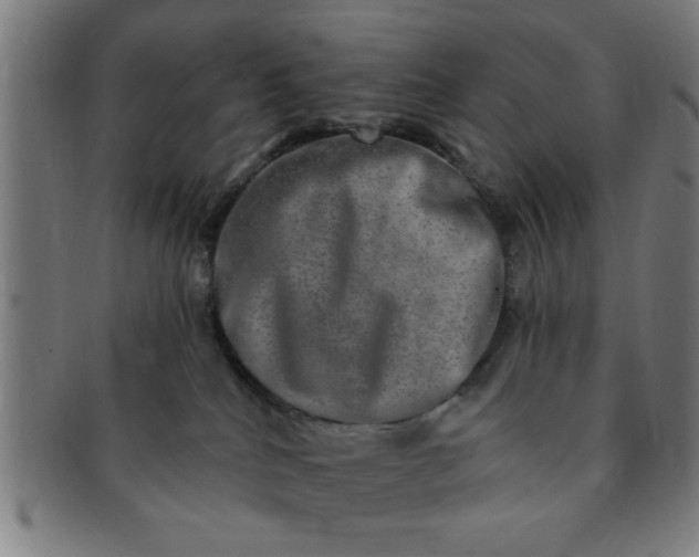 X0000091350040200708241257