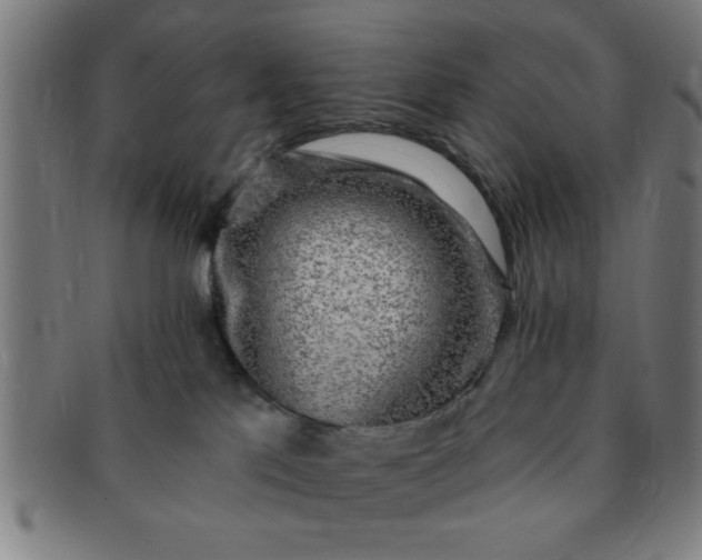 X0000091350041200708241257