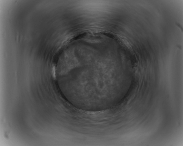 X0000091350042200708241257