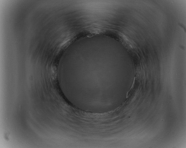 X0000091350043200708241257