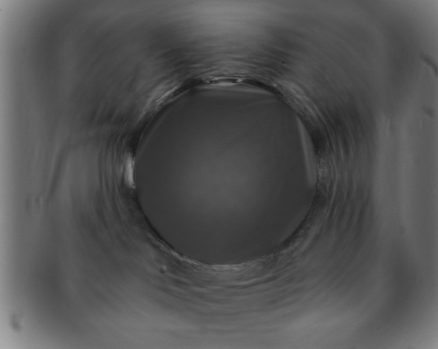 X0000091350046200708241257