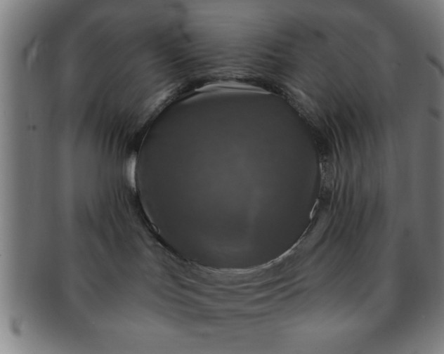 X0000091350047200708241257