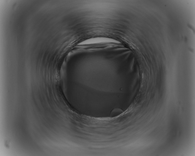 X0000091350048200708241257