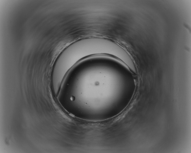 X0000091350049200708241257