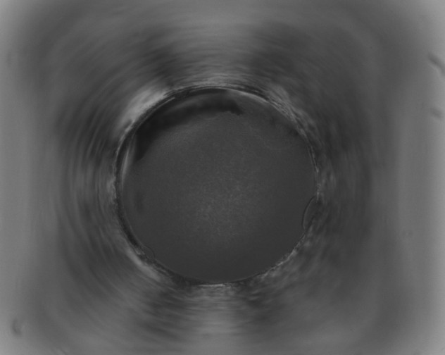X0000091350050200708241257